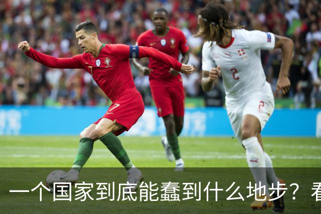 一个国家到底能蠢到什么地步？看看瑞典你就知道了，三十年前，瑞典的人均GDP高达3.2万美元，可以夜不闭户，如今到处都是难民