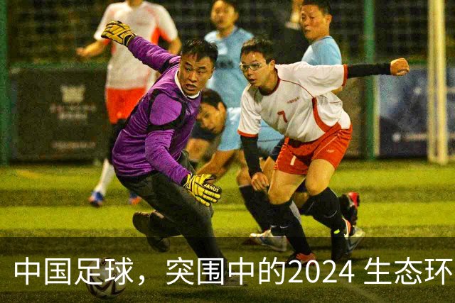 中国足球，突围中的2024 生态环境将实现好转