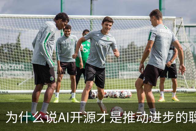 为什么说AI开源才是推动进步的聪明选择？