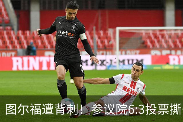 图尔福遭背刺！参议院6:3投票撕开菲政坛假象！