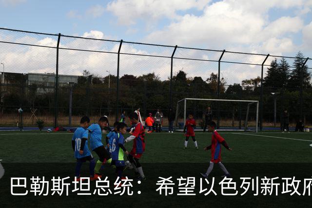 巴勒斯坦总统：希望以色列新政府为重启和谈创造条件