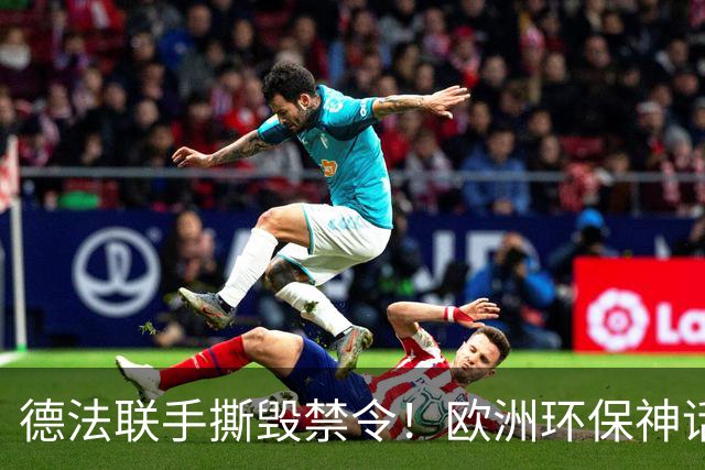 德法联手撕毁禁令！欧洲环保神话塌房