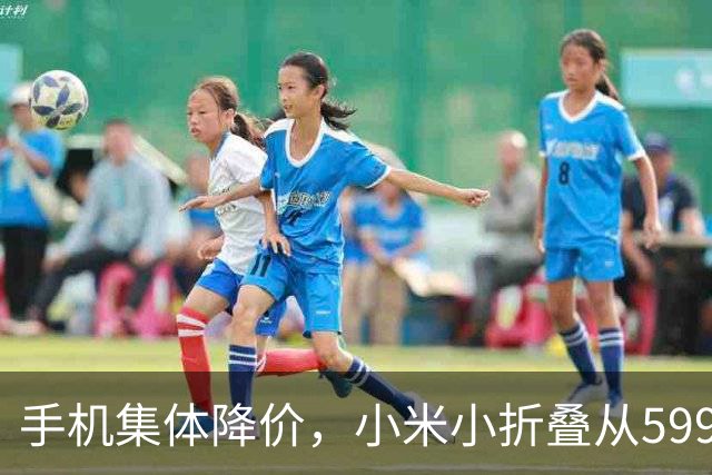 手机集体降价，小米小折叠从5999跌到2719，等等党赢了