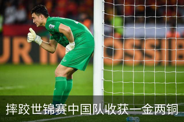 摔跤世锦赛中国队收获一金两铜