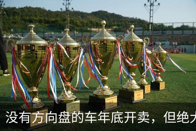 没有方向盘的车年底开卖，但绝大多数不归车主