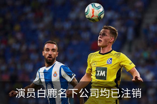 演员白鹿名下公司均已注销