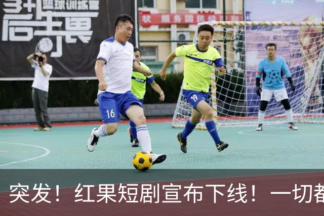 突发！红果短剧宣布下线！一切都回不去了！