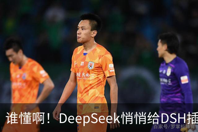 谁懂啊！DeepSeek悄悄给DSH插件开发者发钱了
